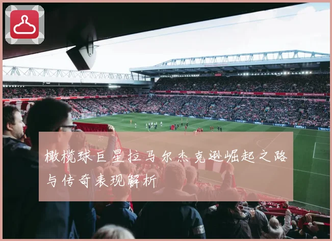 橄榄球巨星拉马尔杰克逊崛起之路与传奇表现解析