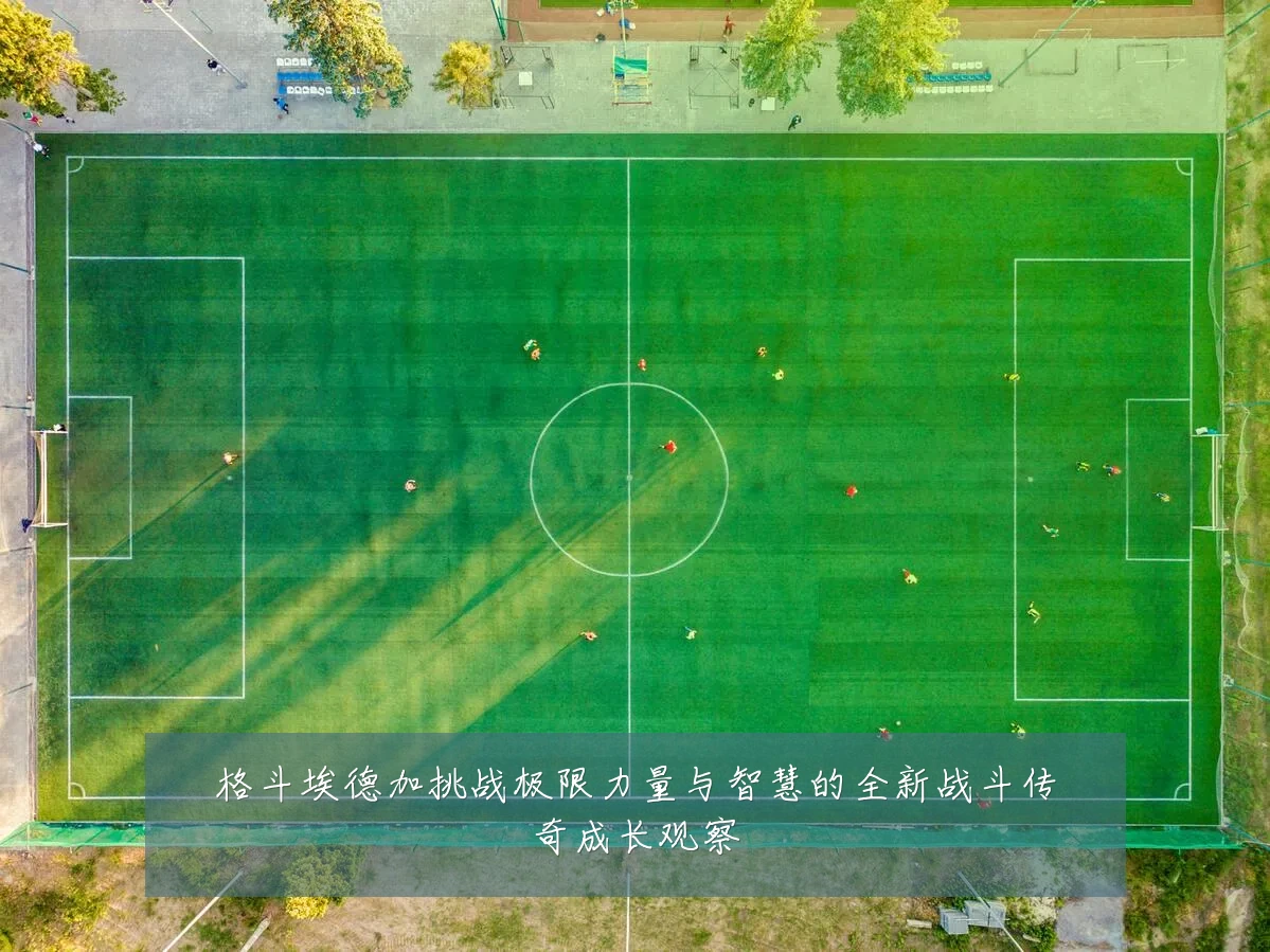 格斗埃德加挑战极限力量与智慧的全新战斗传奇成长观察