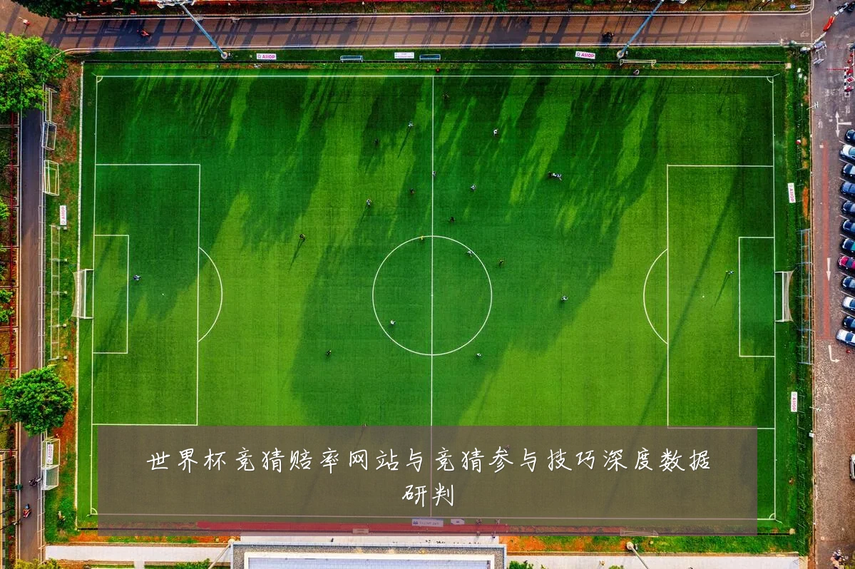 世界杯竞猜赔率网站与竞猜参与技巧深度数据研判